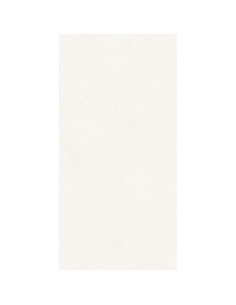Basaltina White Natural Eco 60 X 120